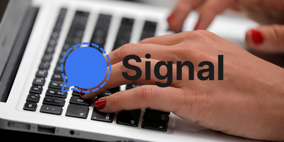 Cómo usar Signal en PC