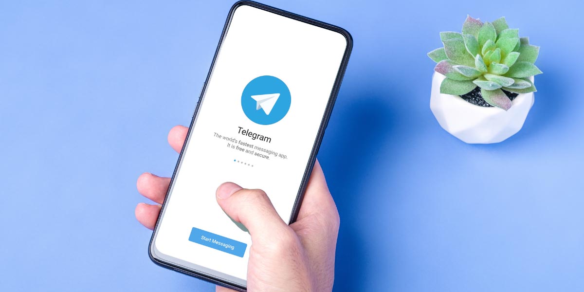Evitar que Telegram descargue archivos automáticamente