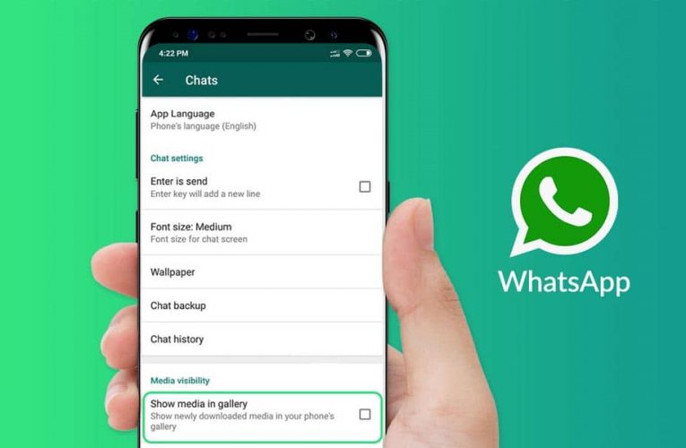 ¿Cómo ver las fotos de WhatsApp en la galería del móvil?