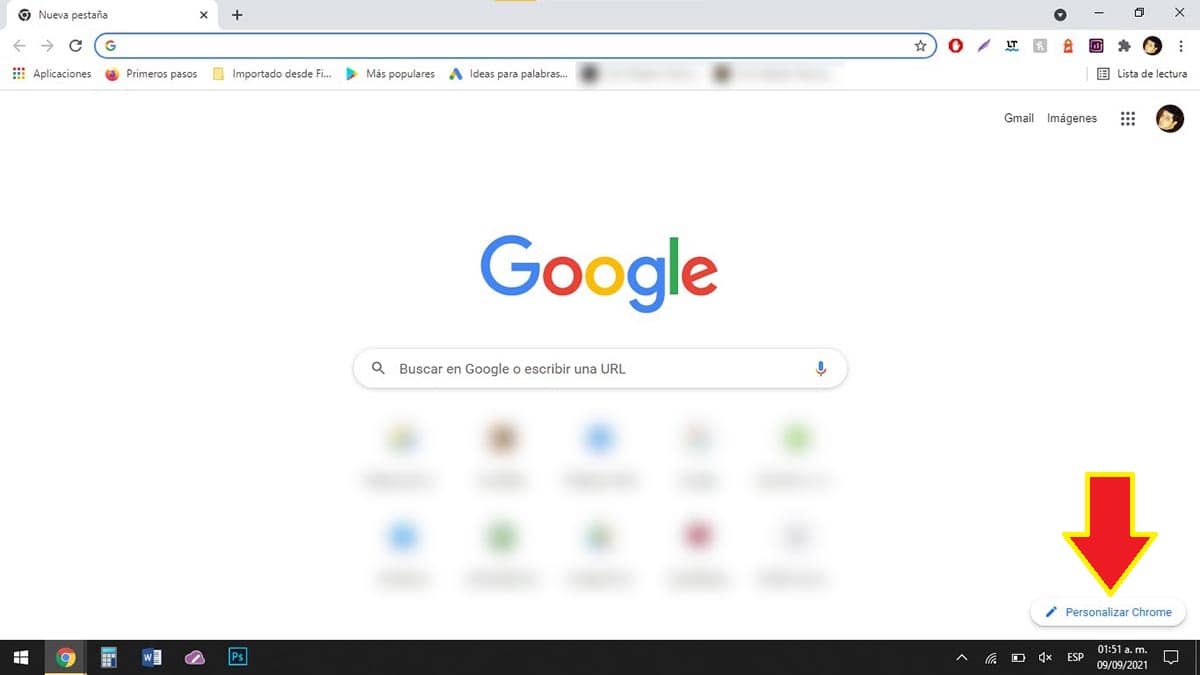 Personalizar Google Chrome PC