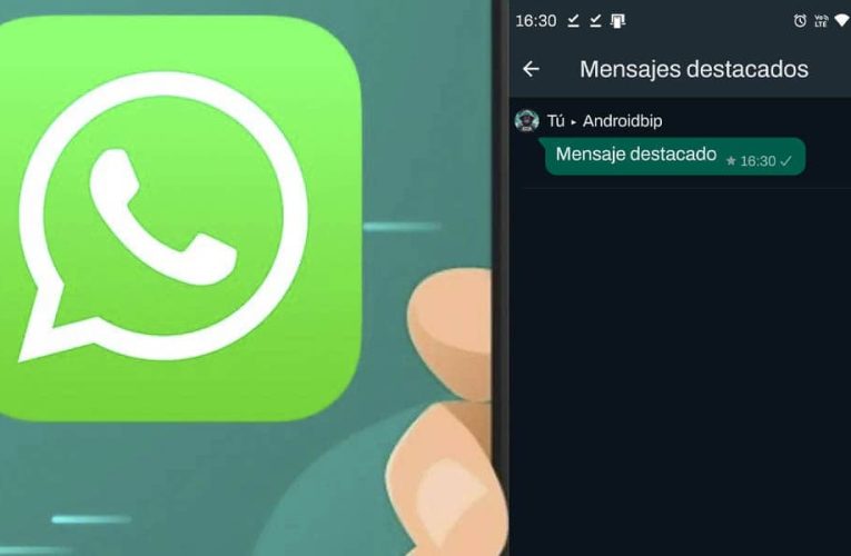 ¿Cómo encontrar los mensajes destacados de WhatsApp?
